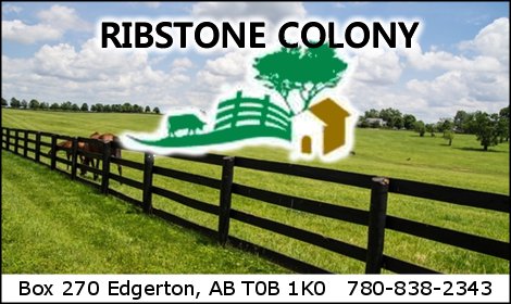 Ribstone Colony  2019 09 11